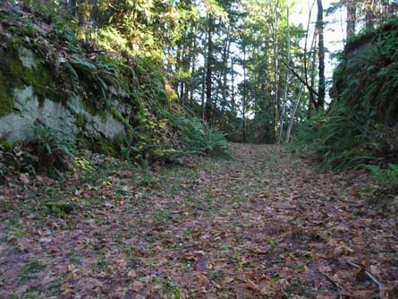 VineSmart - Cowichan Valley Ocean Front Home For Sale w/ Vineyard or Equestrian Potential - Vancouver Island, BC, Canada - Wine Real Estate